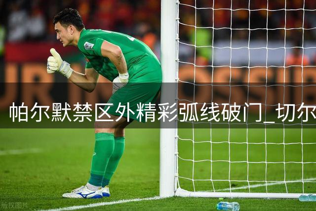 帕尔默禁区外精彩弧线破门 切尔西4-2力克布莱顿